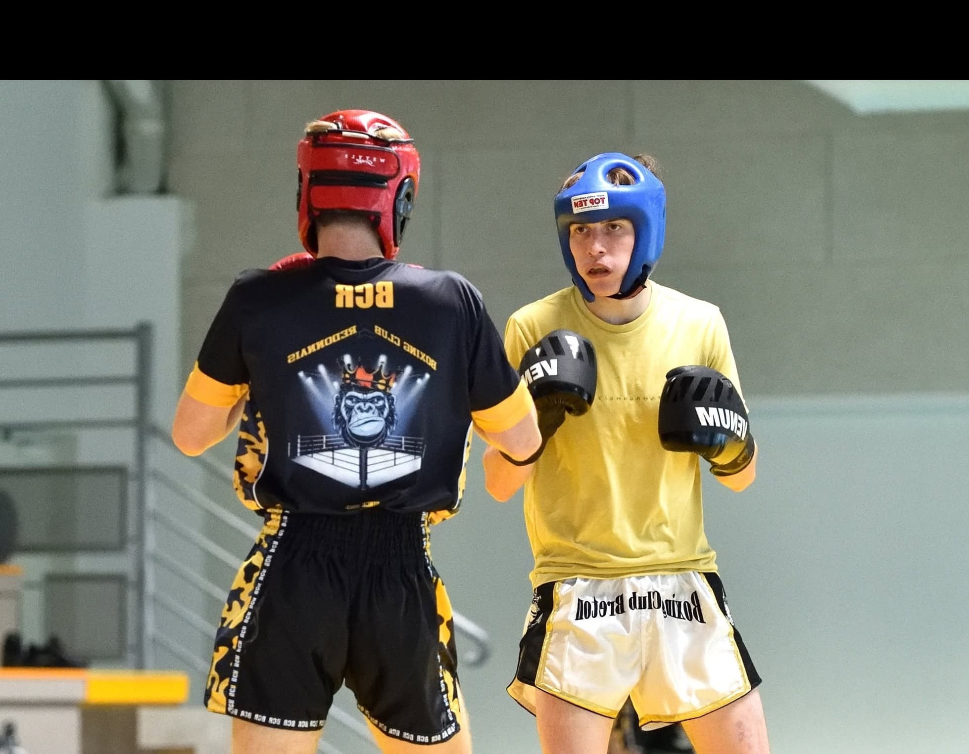 Boxe Anglaise